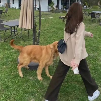 苦差事